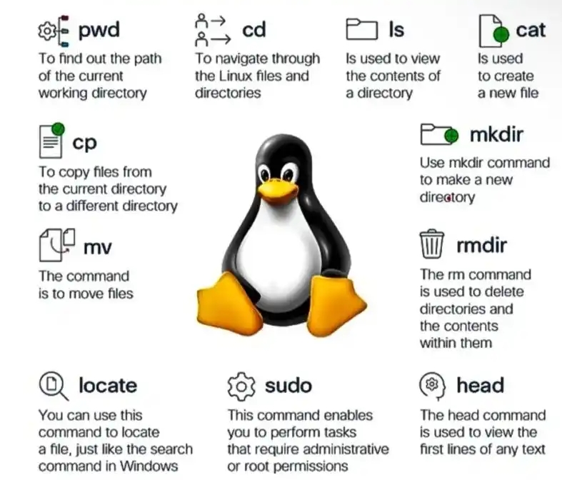 Linux命令合集